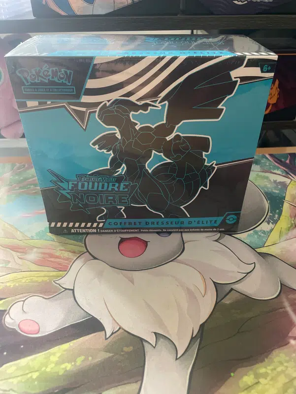 ImageUpload|13174153