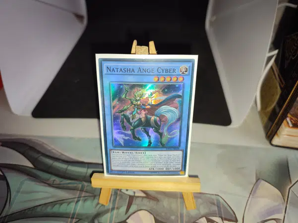 ImageUpload|10040463