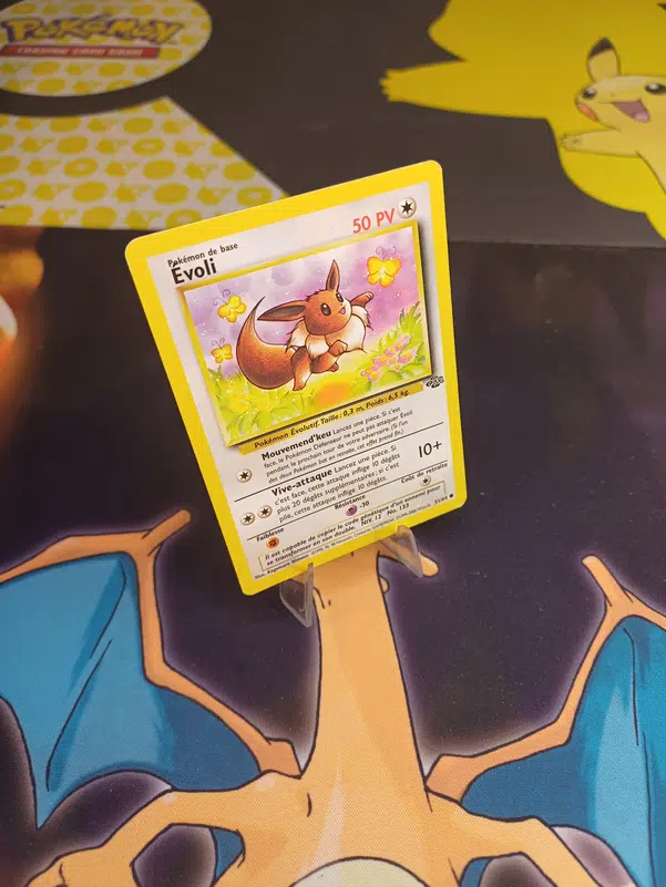 ImageUpload|12236531