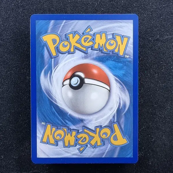 ImageUpload|11283618