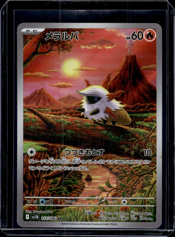 ImageUpload|11552006