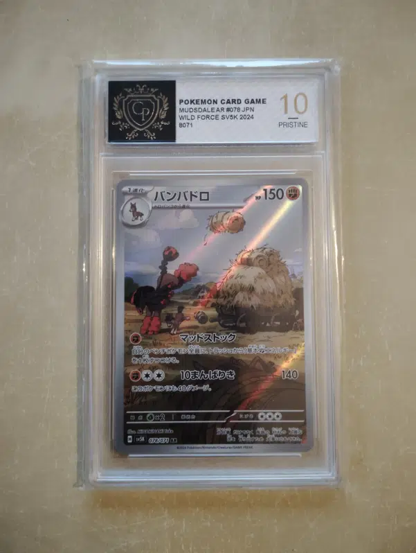 ImageUpload|11607362