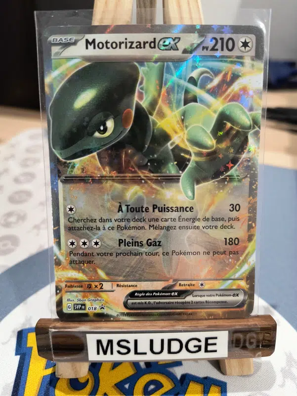 ImageUpload|13505739