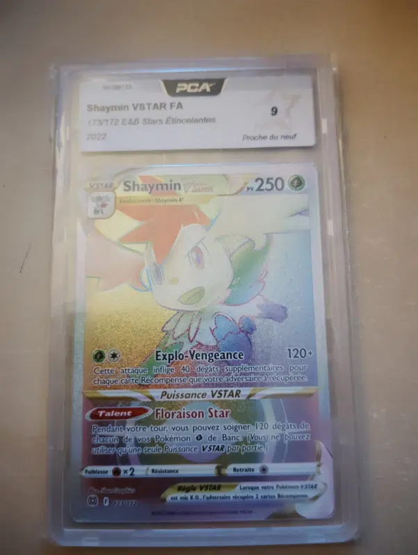 ImageUpload|11607354