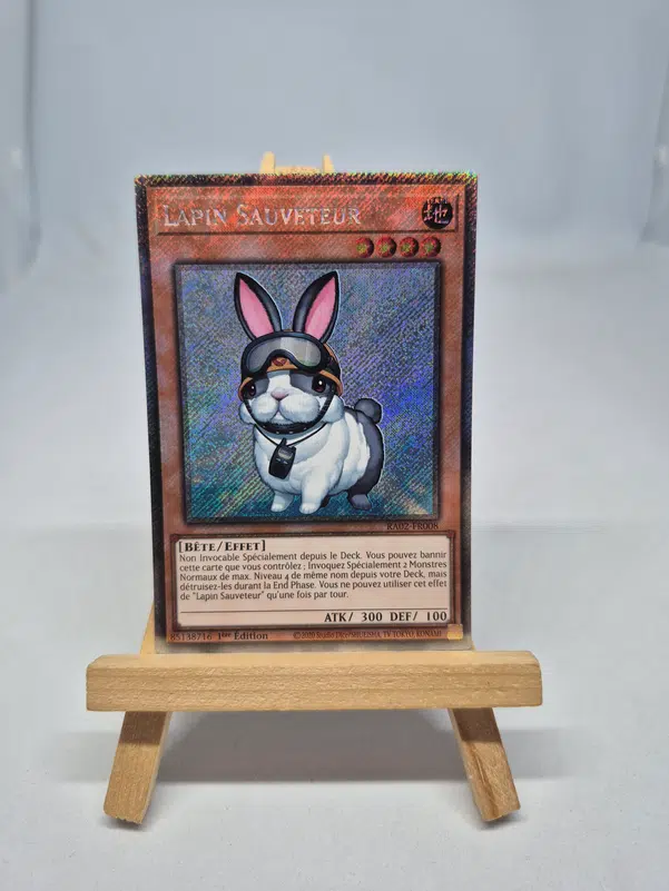 ImageUpload|10237457