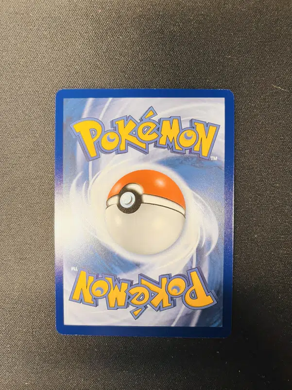 ImageUpload|11502898