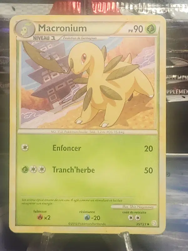 ImageUpload|12928530