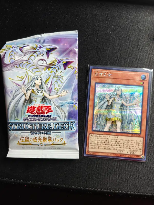 ImageUpload|10134552