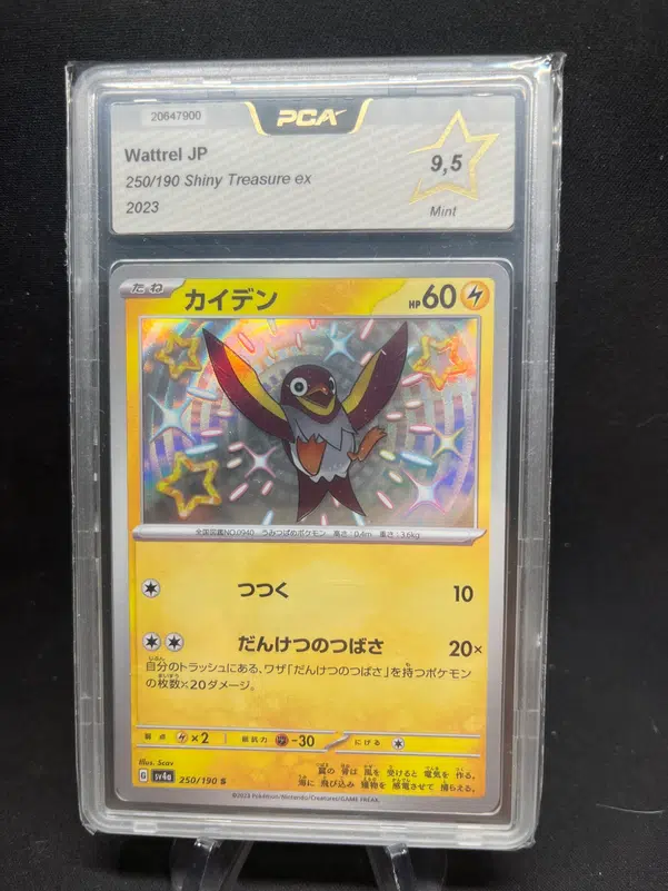 ImageUpload|12947614