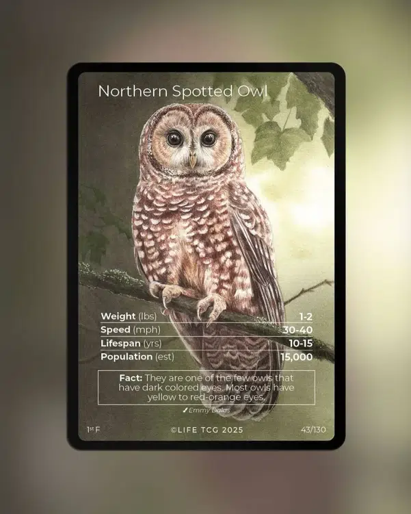 ImageUpload|12642973