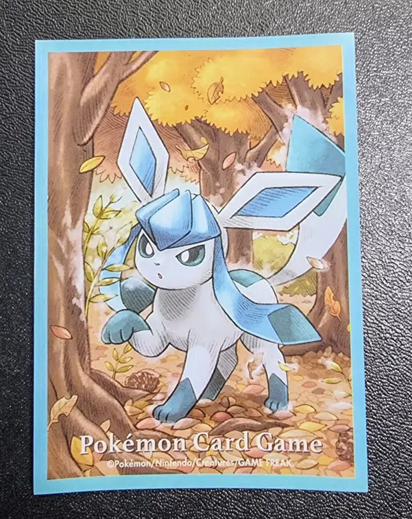 ImageUpload|13306131