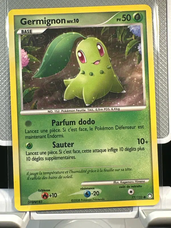 ImageUpload|12968554