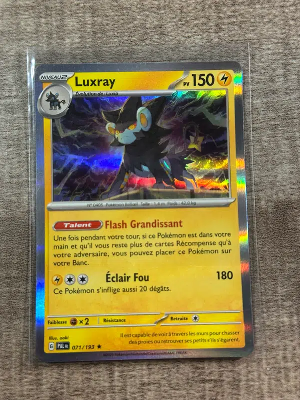 ImageUpload|10197483