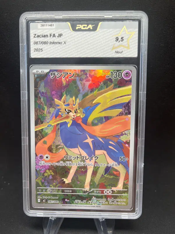 ImageUpload|13573122