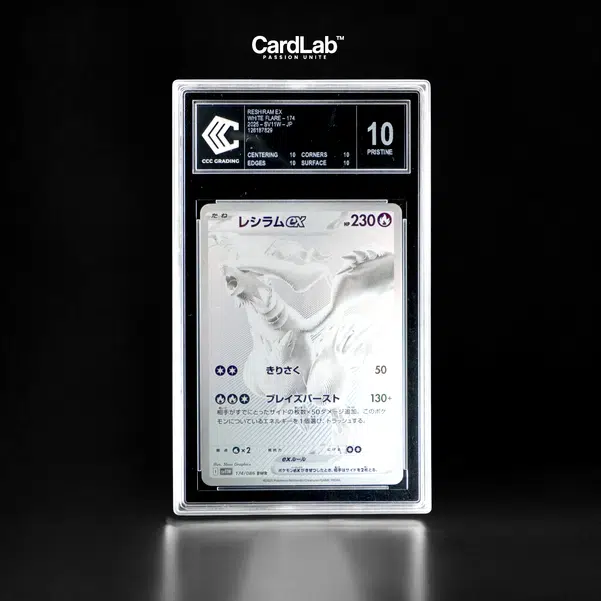 ImageUpload|11078628