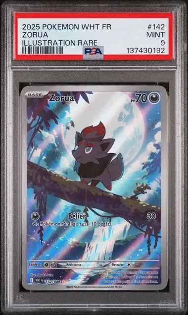 ImageUpload|14762208