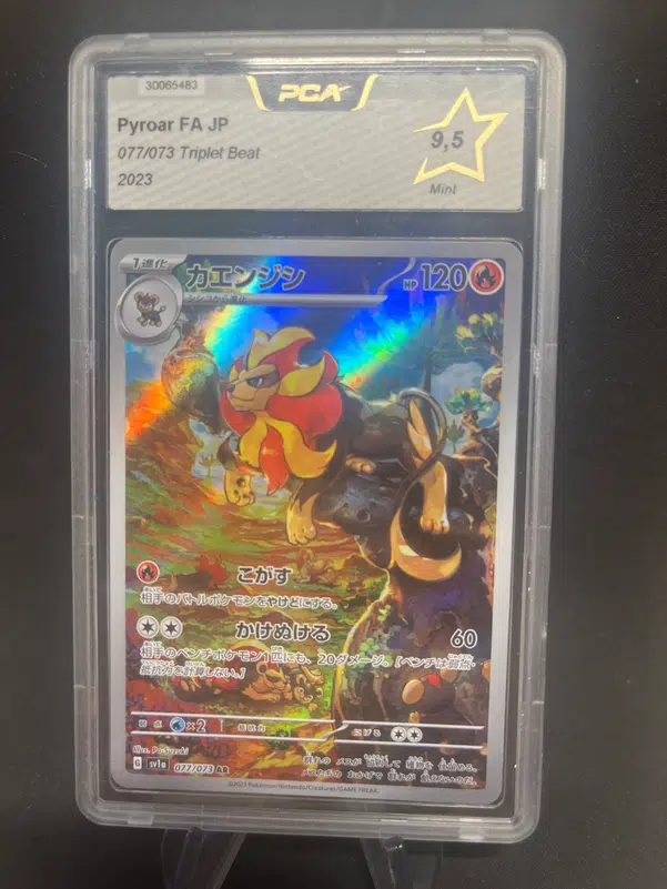 ImageUpload|12768006