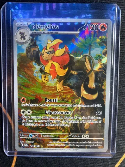 ImageUpload|10674010