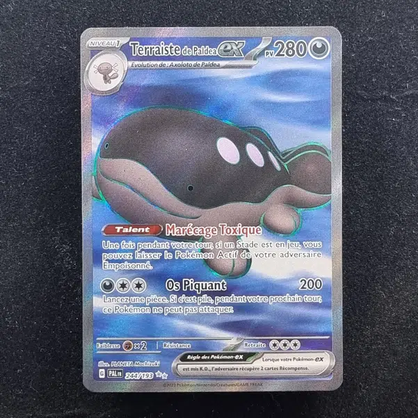 ImageUpload|11283494