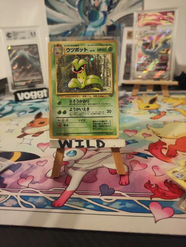 ImageUpload|12954008