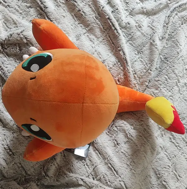 ImageUpload|10916469