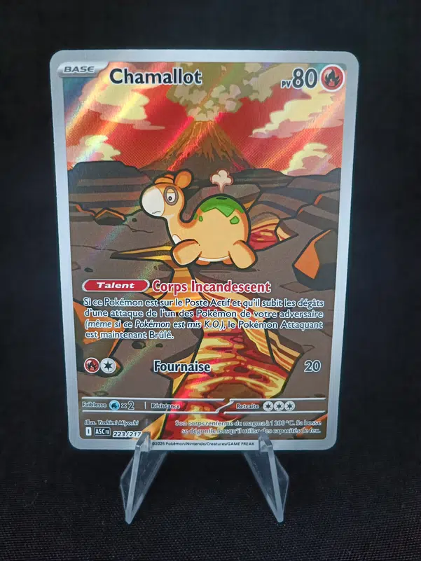 ImageUpload|15667106