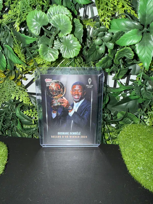 ImageUpload|15080608