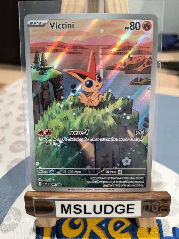 ImageUpload|13491320