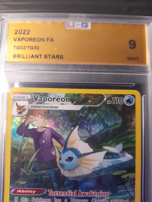 ImageUpload|10978079