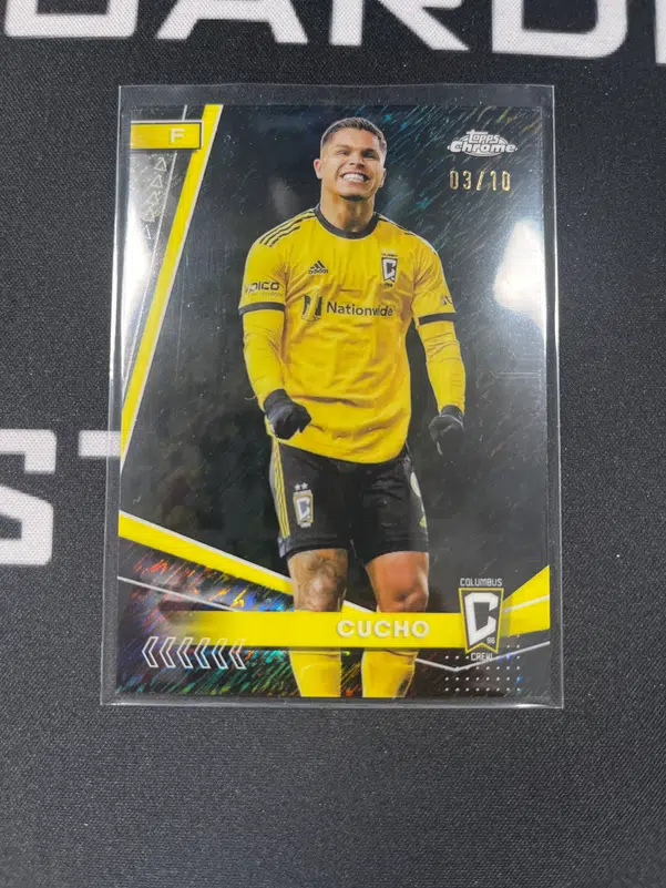 ImageUpload|15541872