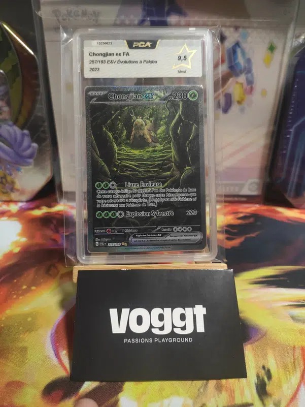 ImageUpload|12946260