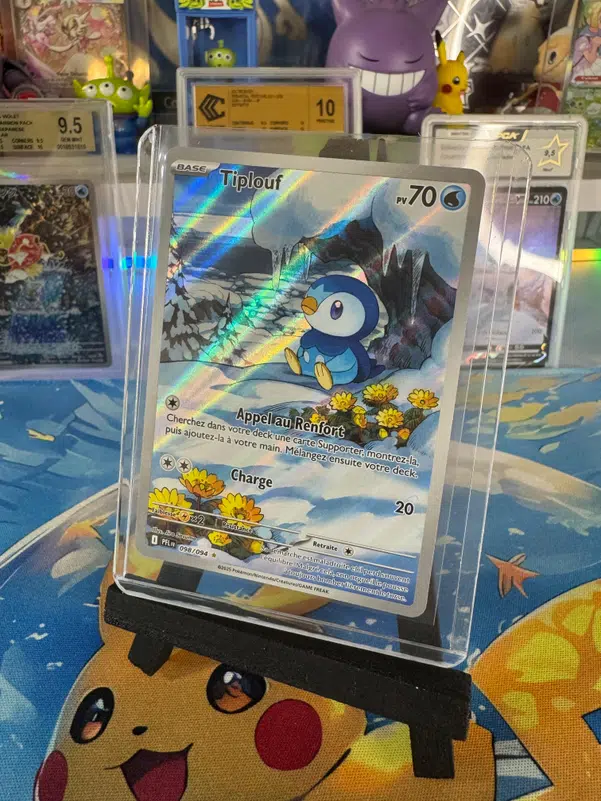 ImageUpload|13376506