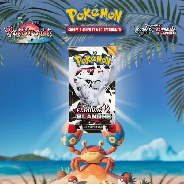 ImageUpload|13503762