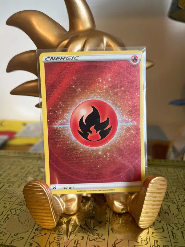 ImageUpload|10202446