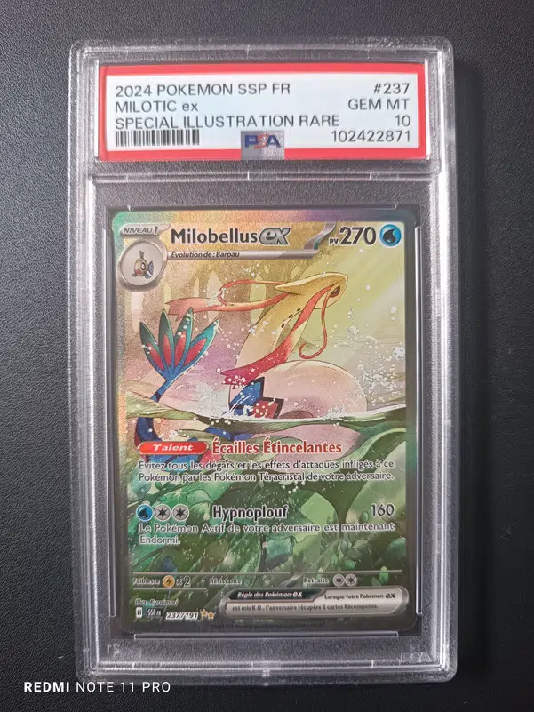 ImageUpload|10431742