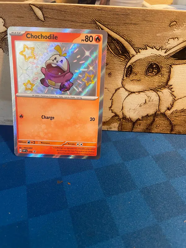 ImageUpload|10320038