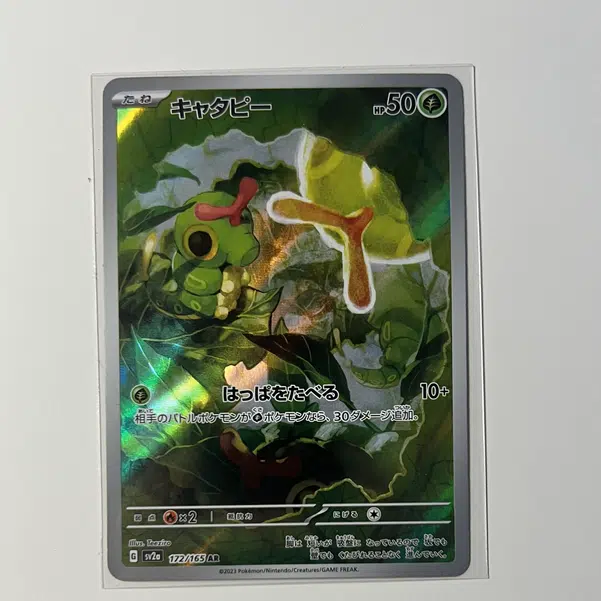 ImageUpload|11513433