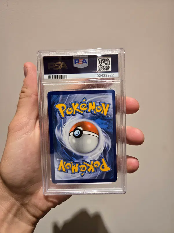 ImageUpload|10850698