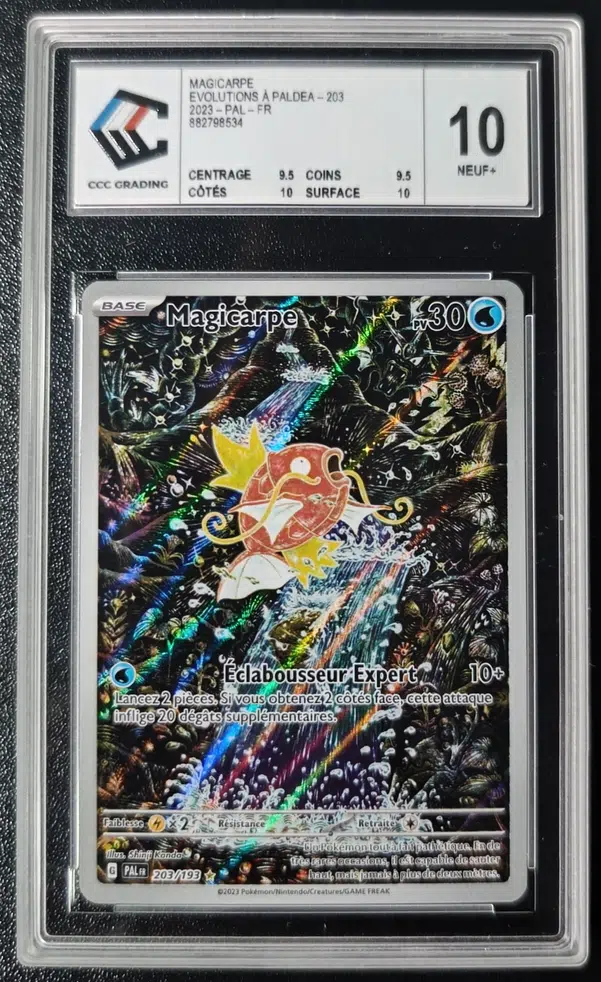 ImageUpload|11163701