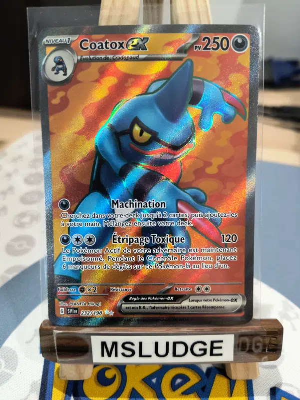 ImageUpload|13503471