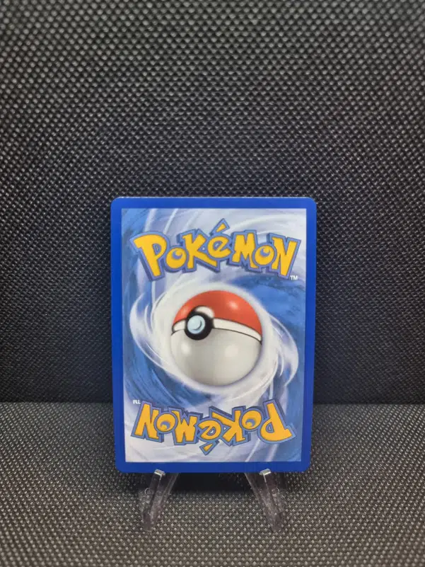 ImageUpload|16652469