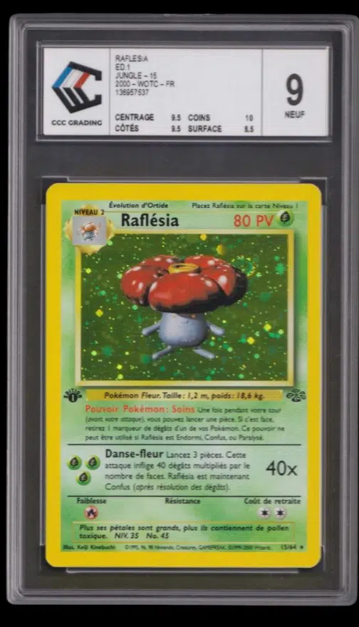 ImageUpload|13228073