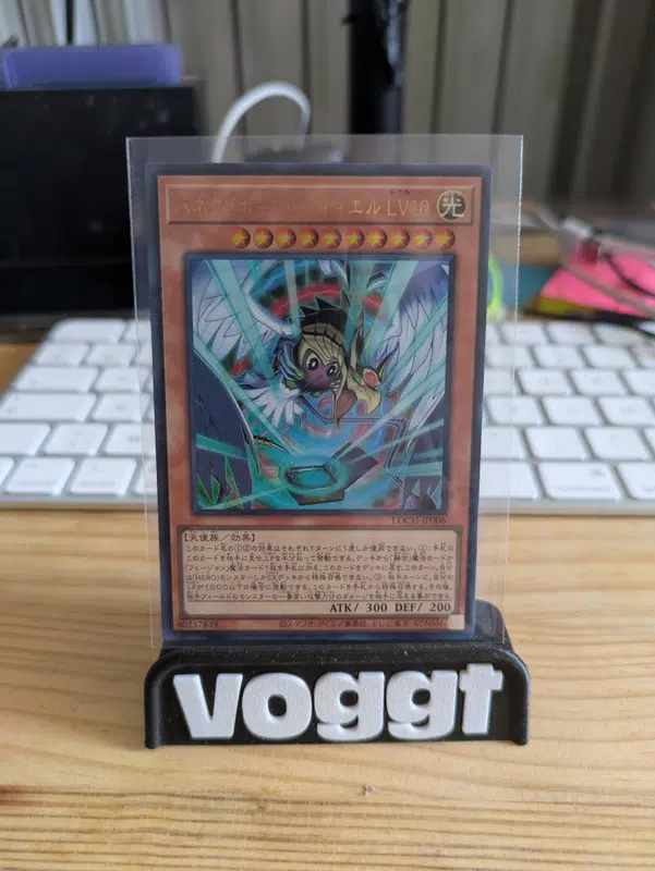 ImageUpload|15611471