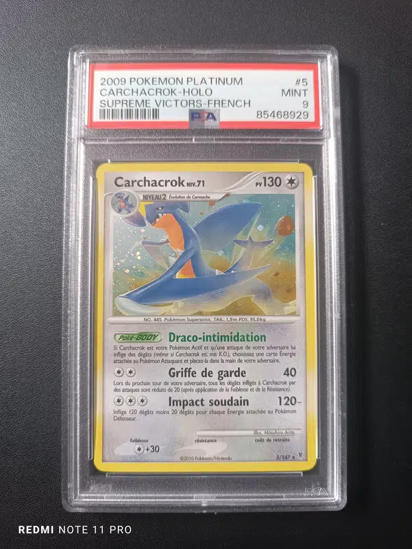 ImageUpload|10431780