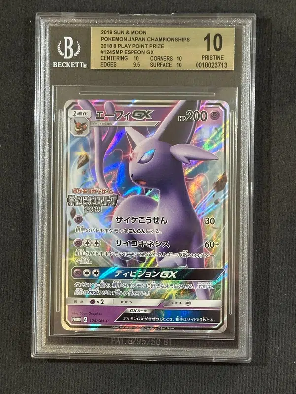 ImageUpload|10881840