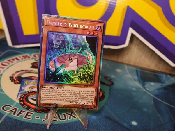 ImageUpload|10541681