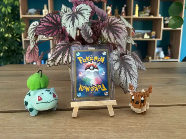 ImageUpload|14621521