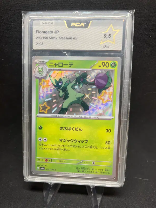 ImageUpload|12947647