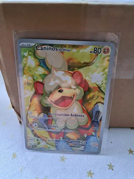 ImageUpload|13875104