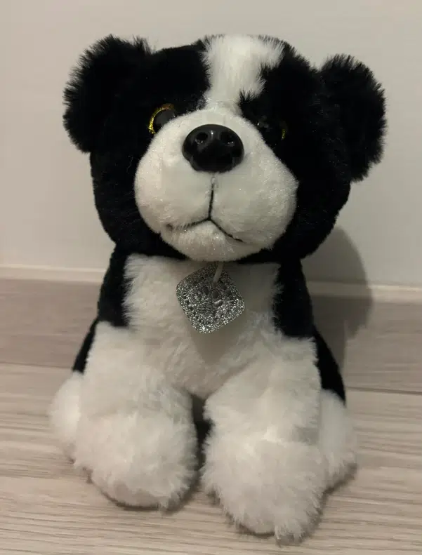 ImageUpload|13854393